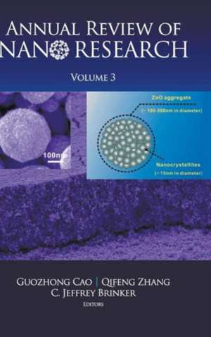 Annual Review of Nano Research, Volume 3 de C. Jeffrey Brinker