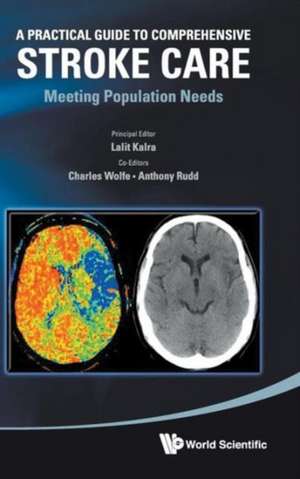 Practical Guide to Comprehensive Stroke Care, A: Meeting Population Needs de Lalit Kalra