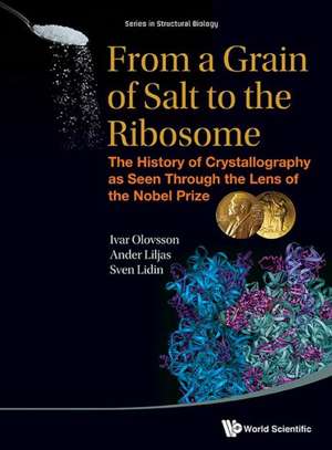 From a Grain of Salt to the Ribosome de Ivar Olovsson