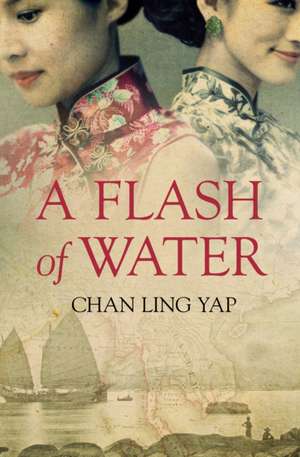 A Flash of Water: The Man and His Ideas de Chan Ling Yap