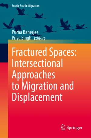 Fractured Spaces de Purna Banerjee