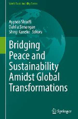 Bridging Peace and Sustainability Amidst Global Transformations de Ayyoob Sharifi