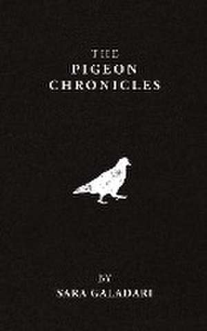 Pigeon Chronicles de Sara Galadari