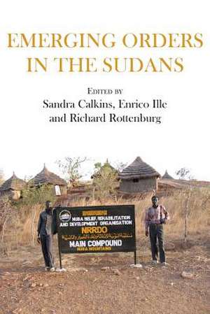 Emerging Orders in the Sudans de Sandra Calkins