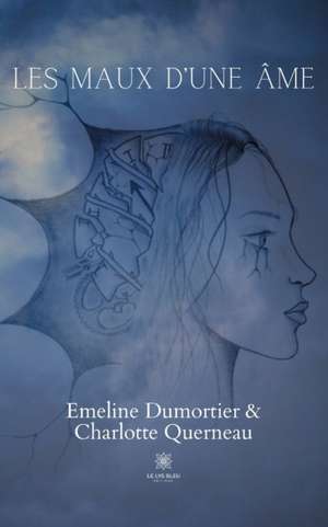 Les maux d'une âme de Emeline Dumortier