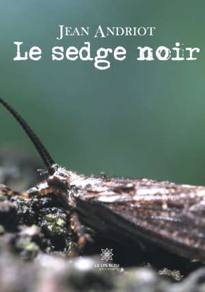 Le sedge noir de Jean Andriot