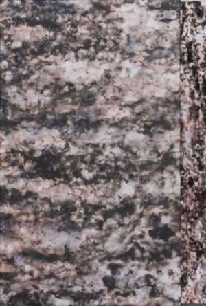 Verboom, M: Ester de Marion Verboom