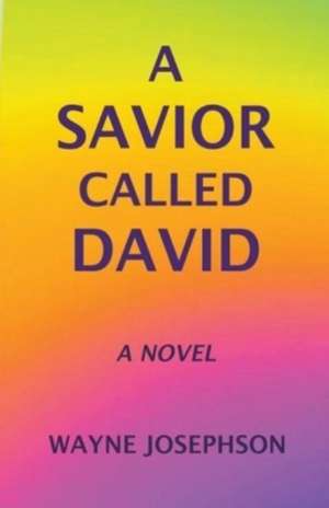 A Savior Called David de Wayne Josephson