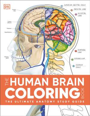 The Human Brain Coloring Book de Dk