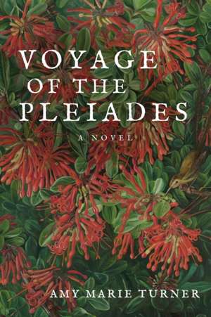 Voyage of the Pleiades de Amy Marie Turner