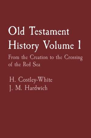 Old Testament History Volume 1 de H. Costley-White