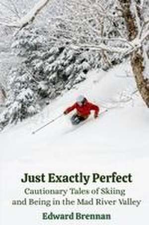 Just Exactly Perfect de Edward J Brennan