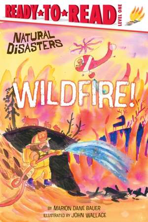 Wildfire! de Marion Dane Bauer