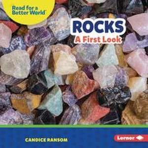 Rocks de Candice Ransom