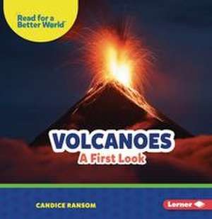 Volcanoes de Candice Ransom