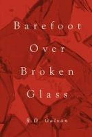 Barefoot Over Broken Glass de R D Galván