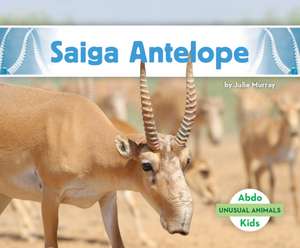 Saiga Antelope de Julie Murray