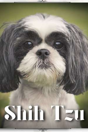 Shih Tzu de Nina Pustova