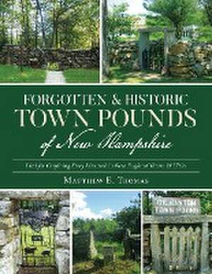 Forgotten & Historic Town Pounds of New Hampshire de Matthew E. Thomas