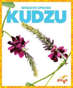 Kudzu de Alicia Z Klepeis