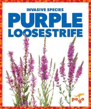 Purple Loosestrife de Alicia Z Klepeis