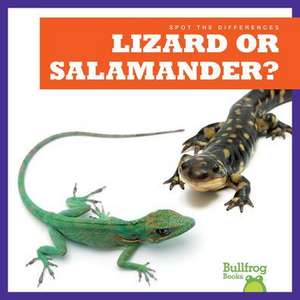 Lizard or Salamander? de Jamie Rice