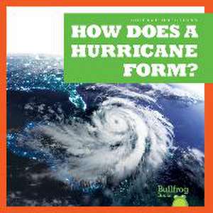 How Does a Hurricane Form? de Megan Cooley Peterson