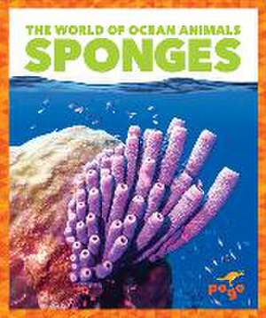 Sponges de Mari C. Schuh