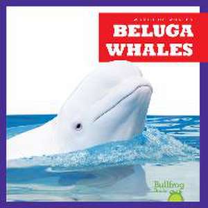 Beluga Whales de Katie Chanez