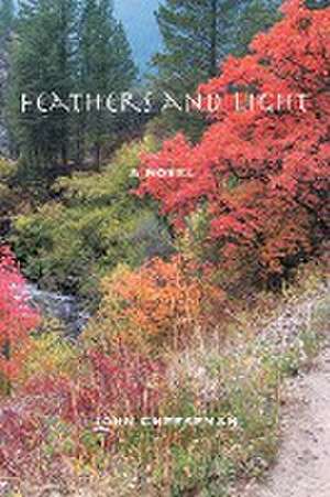 Feathers and Light de John Cheeseman