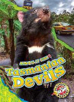 Tasmanian Devils de Rachel Grack