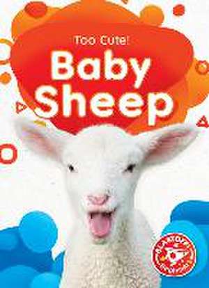 Baby Sheep de Betsy Rathburn