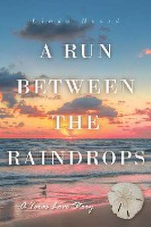 A Run Between the Rain Drops de Linda Hoard