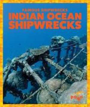 Indian Ocean Shipwrecks de Michelle Parkin