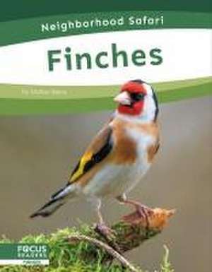 Finches de Dalton Rains