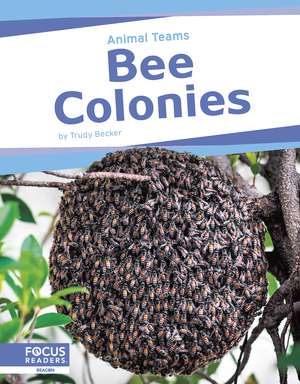 Becker, T: Bee Colonies de Trudy Becker