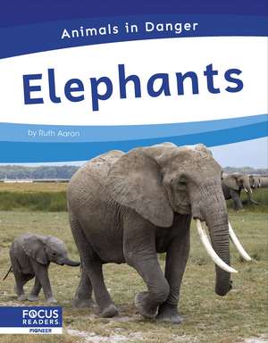 Elephants de Ruth Aaron