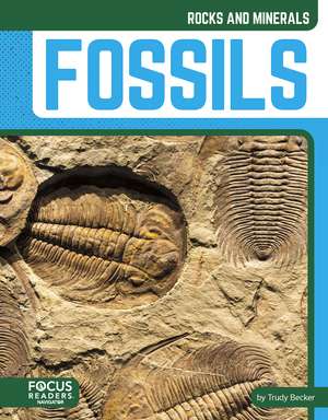 Fossils de Trudy Becker