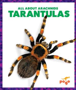 Tarantulas de Becca Becker