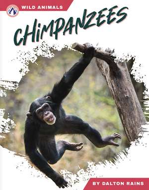 Chimpanzees de Dalton Rains