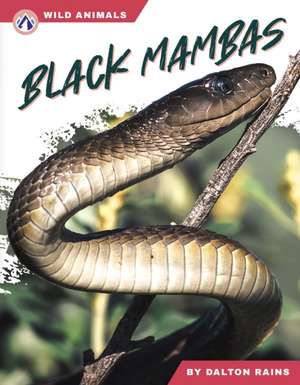 Black Mambas de Dalton Rains