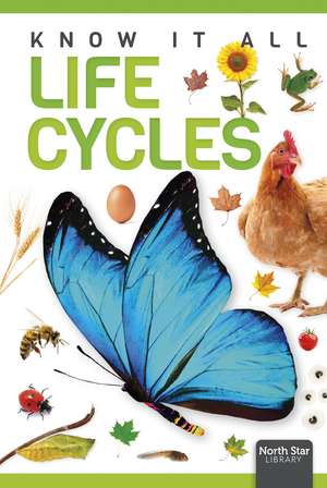 Life Cycles de Louise Nelson