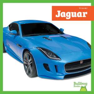 Jaguar de Mari Schuh
