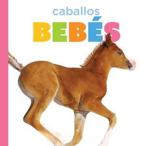Caballos Bebés de Graham Morgan