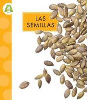 Las Semillas de Ana Brauer
