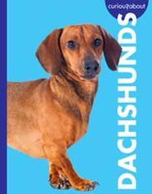 Curious about Dachshunds de Rachel Grack