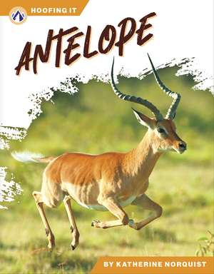 Antelope de Katherine Norquist