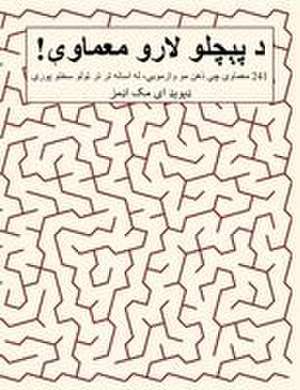 د پېچلو لارو معماوې! de David E. McAdams