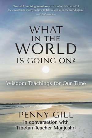 What in the World is Going On? de Penny Gill