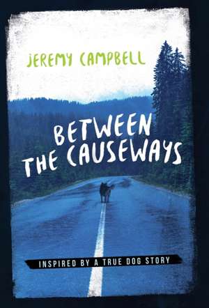 Between the Causeways de Jeremy Campbell